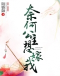 奈何公主想嫁我