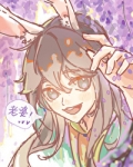 兔兔假孕280天