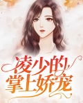 凌少的掌上娇宠