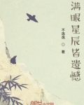 满眼星辰皆遗憾