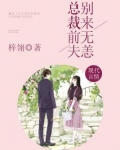 婚前试爱