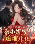 重生飒爆全球：秦小姐马甲遍地开花