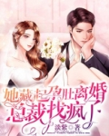 她藏起孕肚离婚,总裁找疯了
