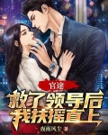 官途救了领导后我扶摇直上笔趣阁