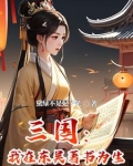 穿越三国成为孙权的小说