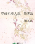 穿成机器人后我无敌了百度云