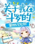 关于我在斗罗的第999次轮回 小说