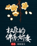 权臣的佛系娇妻