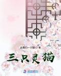 三只猫小说