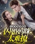 总裁爹地别傲娇,闪婚妈咪太难撩