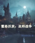 霍格沃茨巫师战争