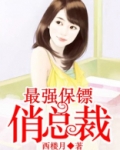 最强保镖俏总裁