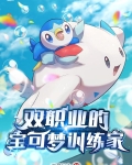 双职业的宝可梦训练家是谁