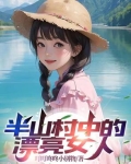 半山村小说