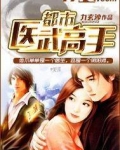 都市医武高手