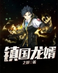 镇国龙婿免费观看