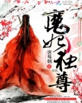 魔妃独尊