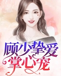 顾少挚爱掌心宠