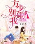 宠妻成瘾：方少别碰我