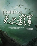 斗破苍穹之无上巅峰