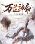 万道神帝叶问