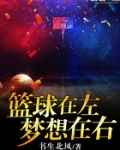篮球在左，梦想在右