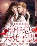 娇妻不乖:前任总想夫凭子贵