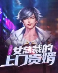 女总裁的上门贵婿