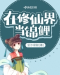 在修仙界当锦鲤 小说