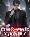 京圈公子历练，全汉东疯了