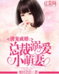 总裁溺爱小萌妻
