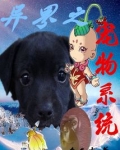 异界之宠物系统