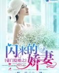 豪门隐婚之闪来的娇妻