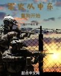 军火从中东鬣狗开始小说
