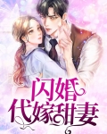 闪婚的代价剧情分集介绍