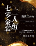 七零金装二人组
