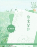 缘来是你电视剧完整版在线观看