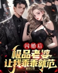 闪婚后,极品老婆让我乖乖就范