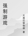 强制游戏txt校园