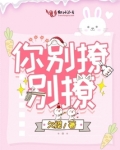 你别撩别撩