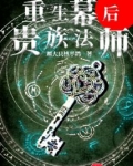 重生幕后贵族法师