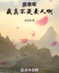 小说我真不是圣子