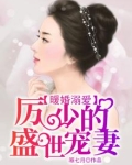 暖婚溺爱,厉少的盛世宠妻