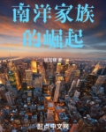 南洋家族的崛起
