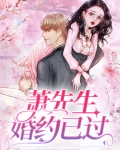 小说萧先生的宠妻日常