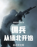 我在缅北当佣兵免费阅读