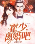 隐婚蜜爱:霍少,离婚吧