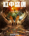 缸中盛唐小说