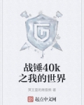 战锤40k之我的世界