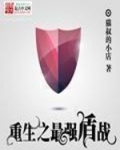 重生最强盾战笔趣阁